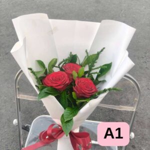 VALENTINE-A01