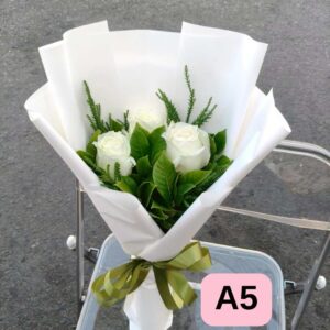 VALENTINE-A05