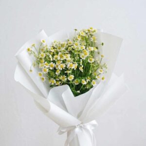 DAISY02-ช่อดอกเดซี่-โทนสดใส-ห่อขาวมินิมอล-ขนาดพกพาสะดวก