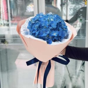 HY01-ช่อไฮเดรนเยียน้ำเงิน-1-หัว-ห่อชมพู-มินิมอล