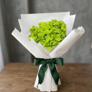 HY09-ช่อไฮเดรนเยียเขียว-1-หัว-ห่อขาว-สไตล์คลาวด์