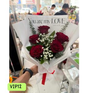 VALENTINE-VIP12