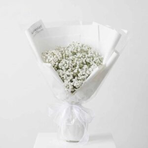 YIPO1-ช่อดอกยิปโซขาว-โทนบริสุทธิ์-ห่อขาว-สไตล์เกาหลีละมุน