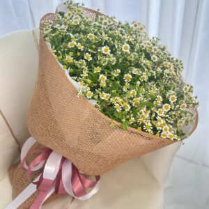 best-81-ช่อดอกเดซี่-[ร้านดอกไม้ แถวเกษตร มหาวิทยาลัย ส่งฟรี]