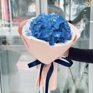 best-69-ไฮเดรนเยีย-[ร้านดอกไม้ แถวเกษตร มหาวิทยาลัย ส่งฟรี]