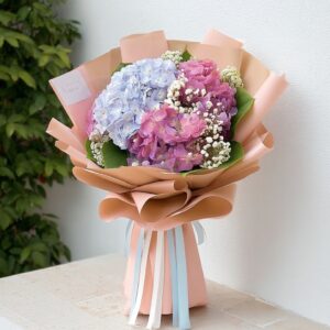 best-72-ไฮเดรนเยีย-[ร้านดอกไม้ แถวเกษตร มหาวิทยาลัย ส่งฟรี]